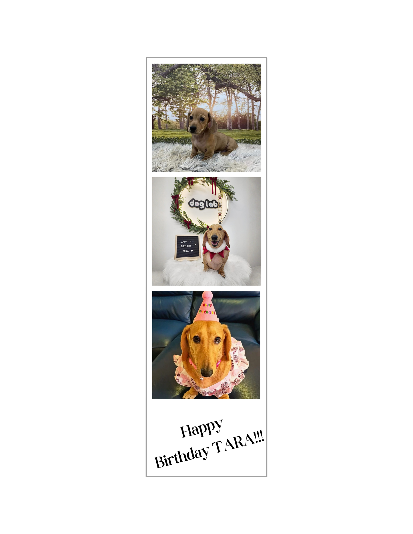 Custom 3 photo strip polaroid Photo Fridge Magnet – Personalized Gift (6.3cm x 22cm)