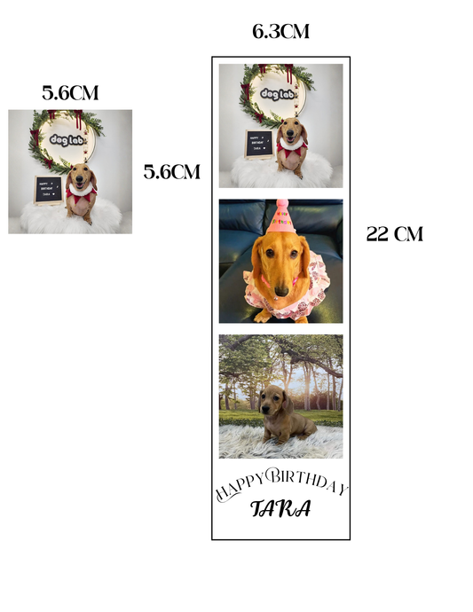 Custom 3 photo strip polaroid Photo Fridge Magnet  – Personalized Gift (6.3cm x 22cm)