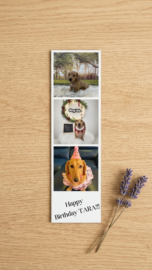 Custom 3 photo strip polaroid Photo Fridge Magnet  – Personalized Gift (6.3cm x 22cm)