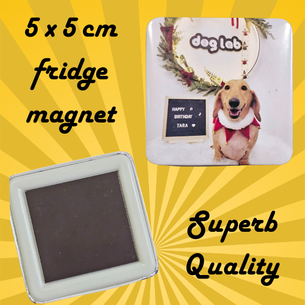 Custom Photo Fridge Magnet (5 × 5 cm) – Personalized Gift